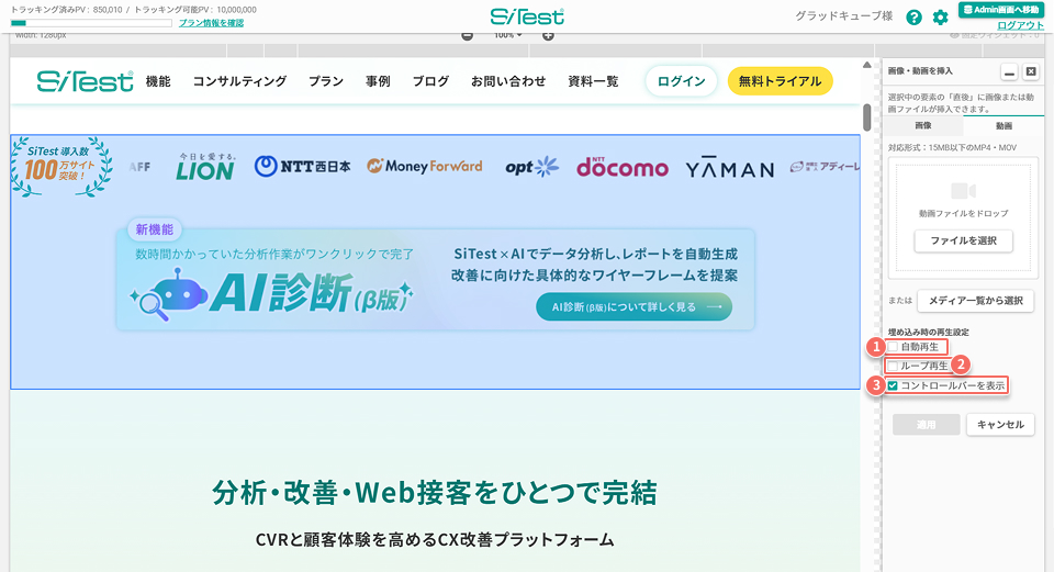 edit-panel-image-and-video-video-tab.jpg