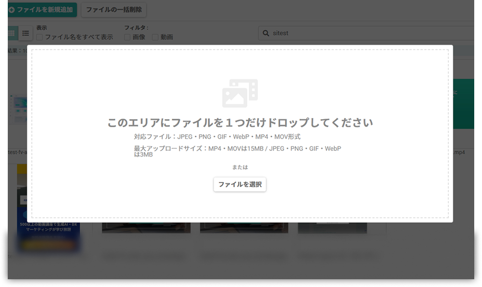 media-add-file-dialog.jpg