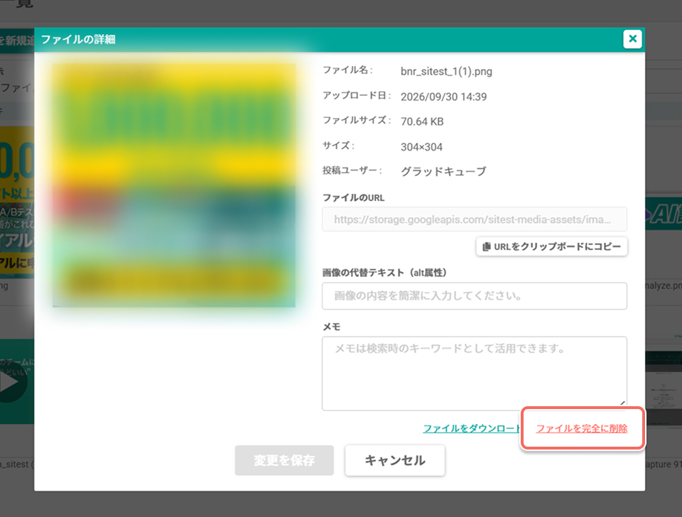 media-file-details-dialog.jpg