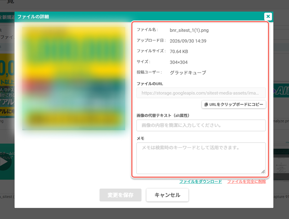 media-file-details-dialog-info.jpg