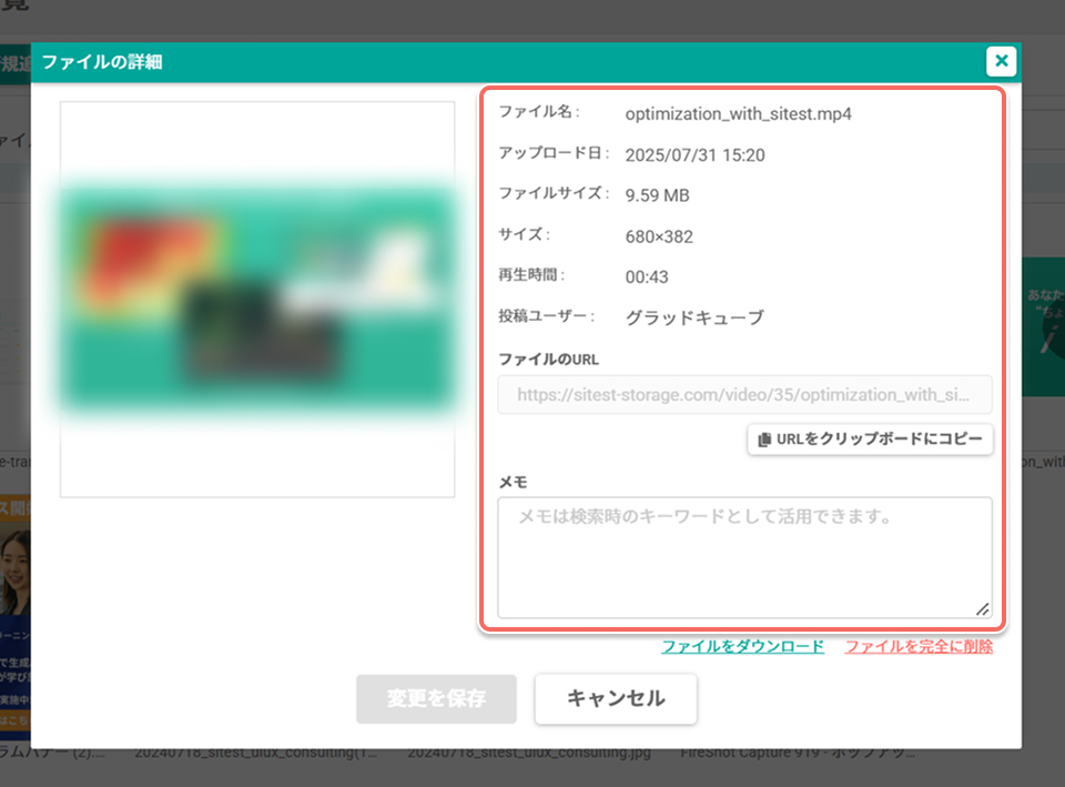media-file-details-dialog-video-info.jpg